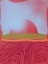 Picture of MIST OVER SUN