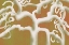 Picture of WHITE TREE