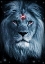 Picture of LION DARKNESS