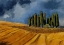 Picture of RISING STORM