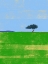 Picture of THE ONLY TREE