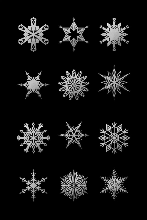 Picture of TWELVE GEOMETRIC SNOWFLAKES IN BLACK