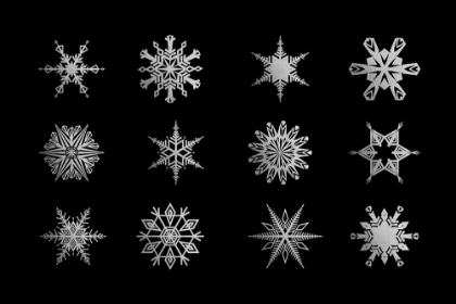 Picture of TWELVE GEOMETRIC SNOWFLAKES IN BLACK