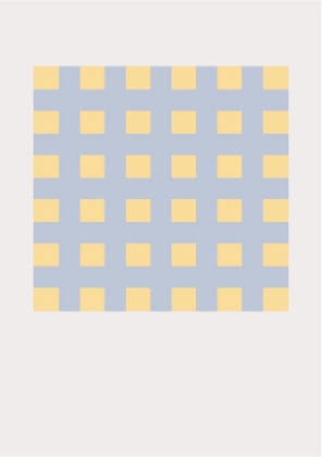 Picture of CHECKS 2
