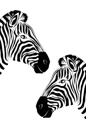 Picture of TWO ZEBRAS