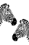 Picture of TWO ZEBRAS