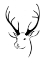 Picture of REINDEER HEAD