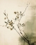 Picture of GREEN TWIG NO 1