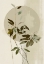Picture of GREEN TWIG NO 3
