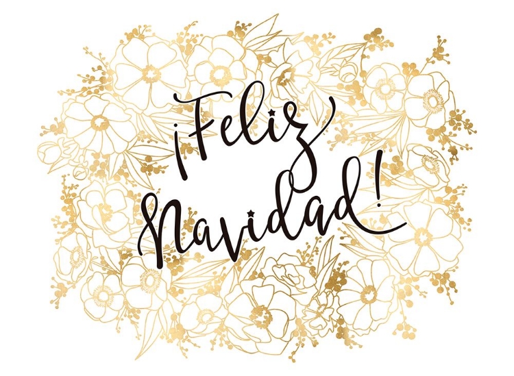 Picture of FELIZ NAVIDAD WITH GOLDEN FLOWERS