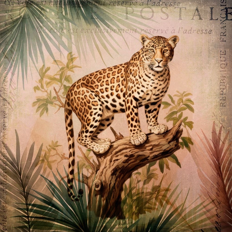 Picture of CHEETAHS EXOTIC JUNGLE