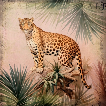 Picture of CHEETAHS TROPICAL JUNGLE