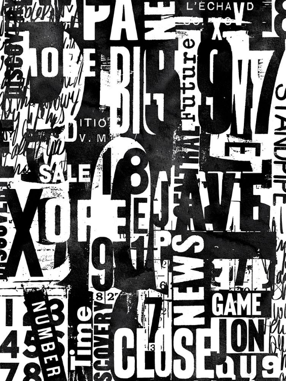 Picture of TYPOGRAPHY BW 001