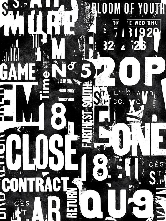 Picture of TYPOGRAPHY BW 002