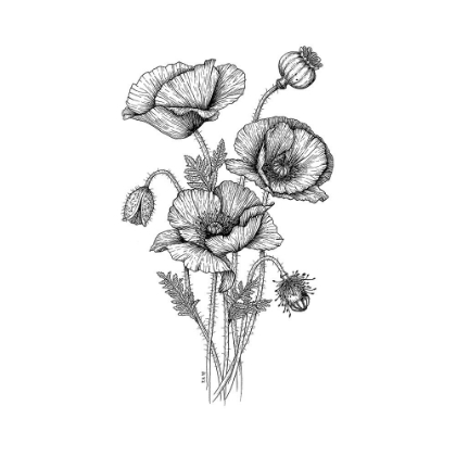 Picture of POPPIES