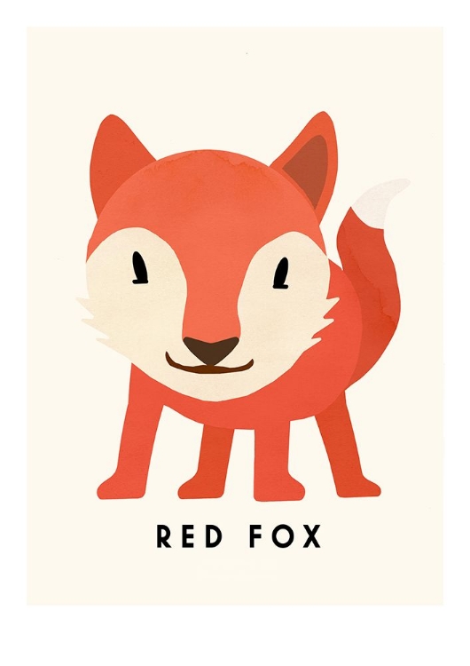 Picture of RED FOX