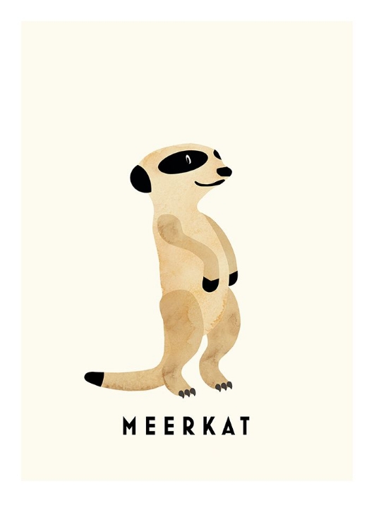 Picture of MEERKAT