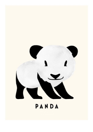 Picture of PANDA