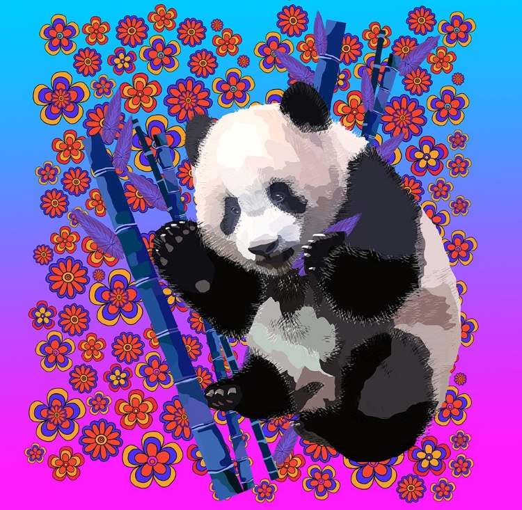 Picture of PANDA