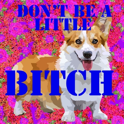 Picture of DONT BE A LITTLE BITCH