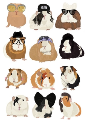 Picture of MUSIC GUINEAPIG