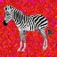 Picture of ZEBRA