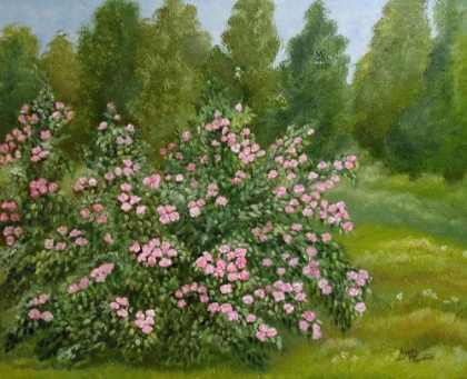 Picture of WILD ROSES