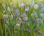 Picture of FLOWERS FIELD