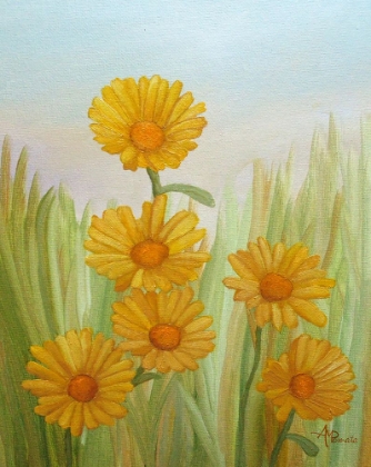 Picture of FIELD OF YELLOW DAISIES
