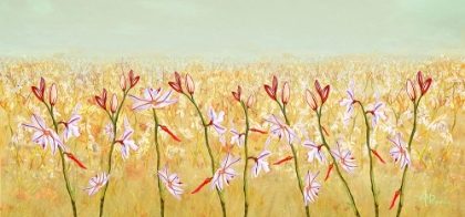 Picture of FIELD OF LILIES