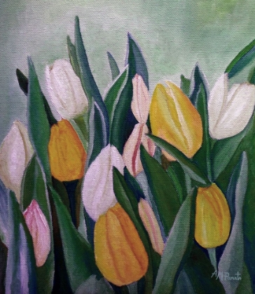 Picture of EVENING TULIPS