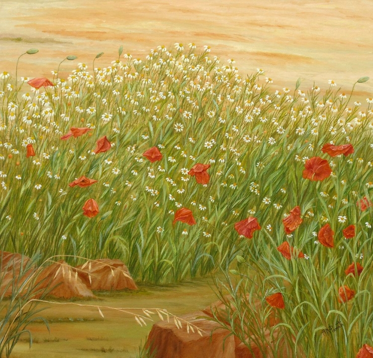 Picture of DAISIES AND  POPPIES
