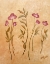 Picture of CRIMSON FLOWERS