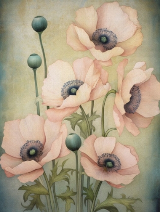 Picture of POPPIES 16