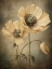 Picture of POPPIES 20