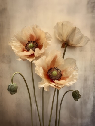 Picture of POPPIES 29