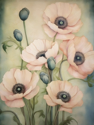Picture of POPPIES 37