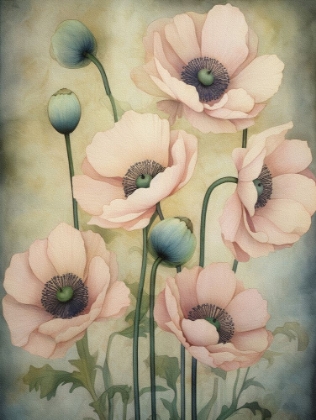Picture of POPPIES 38