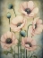 Picture of POPPIES 38