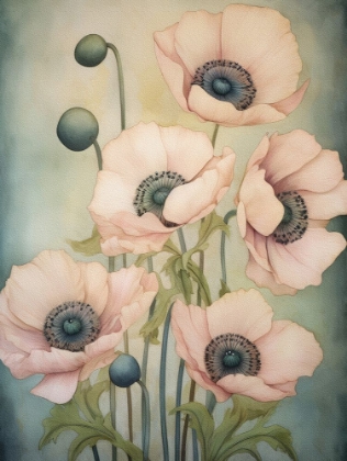 Picture of POPPIES 40