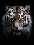Picture of WILD 9