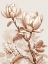Picture of BEIGE FLOWERS 3