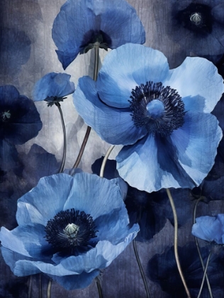 Picture of BLUE FLOWERS 4