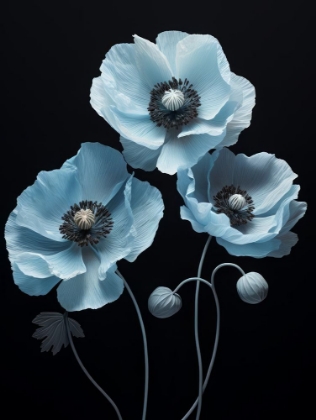 Picture of POPPIES 8