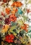 Picture of MEADOW FLOWERS 34