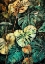 Picture of NATURE LEAVES 43