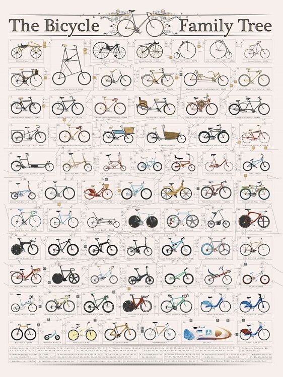 Picture of THE HISTORY OF THE BICYCLE