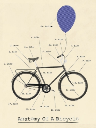 Picture of ANATOMY OF A BICYCLE PAGE