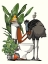 Picture of EMU USING THE TOILET