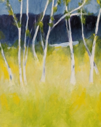 Picture of BIRCHES